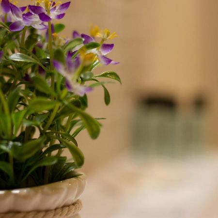Suite Corallo - Smart Holiday มานโตวา ภายนอก รูปภาพ